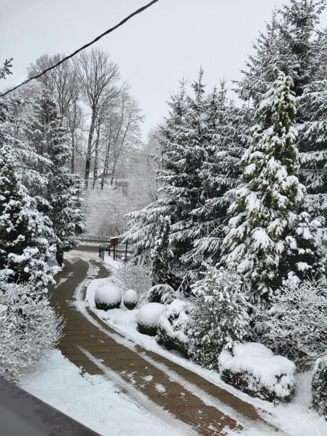 Agroturystyka Nad Strumykiem Lesna  Exterior photo