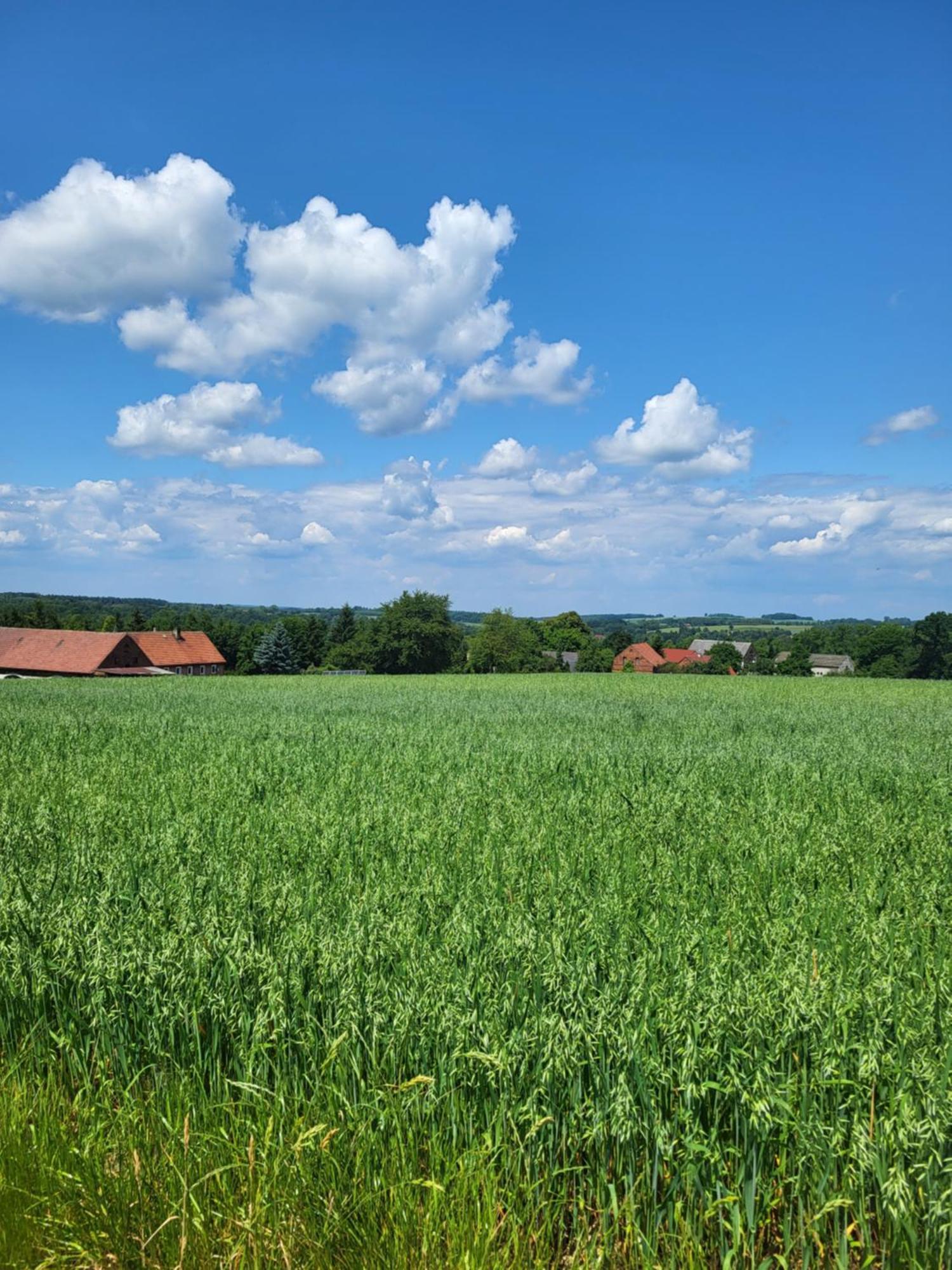 Agroturystyka Nad Strumykiem Lesna  Exterior photo