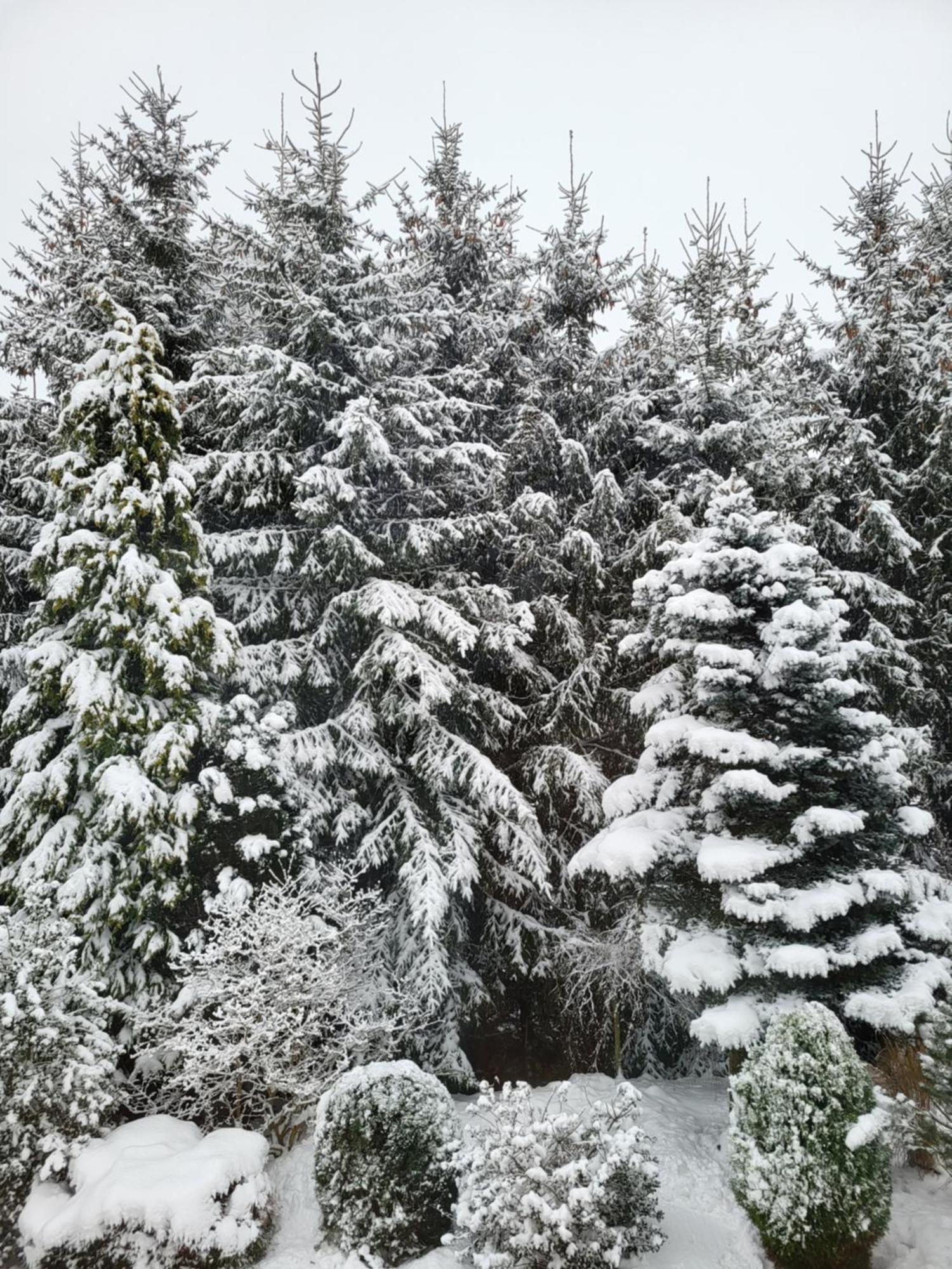 Agroturystyka Nad Strumykiem Lesna  Exterior photo